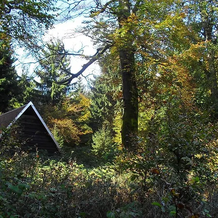 Gasthaus Zum Bären 3* Tambach-Dietharz